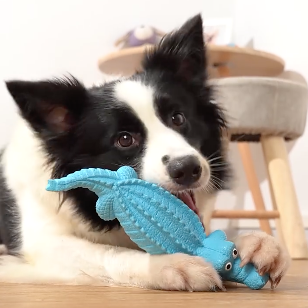 Colorful animal-shaped squeaky chew toys